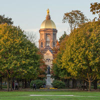 Irish and Notre Dame STEM students encouraged to apply for a Naughton Fellowship