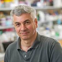 Researcher discovers key to how a cell wall promotes bacterial replication