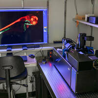 Notre Dame Integrated Imaging Facility acquires two new state-of-the-art microscopes