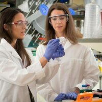 Notre Dame Chemistry sees rise in graduate program ranking